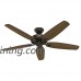 Hunter Fan Company 53363 Traditional Builder Great Room New Bronze Ceiling Fan with Light  56" - B01CDFZDEC